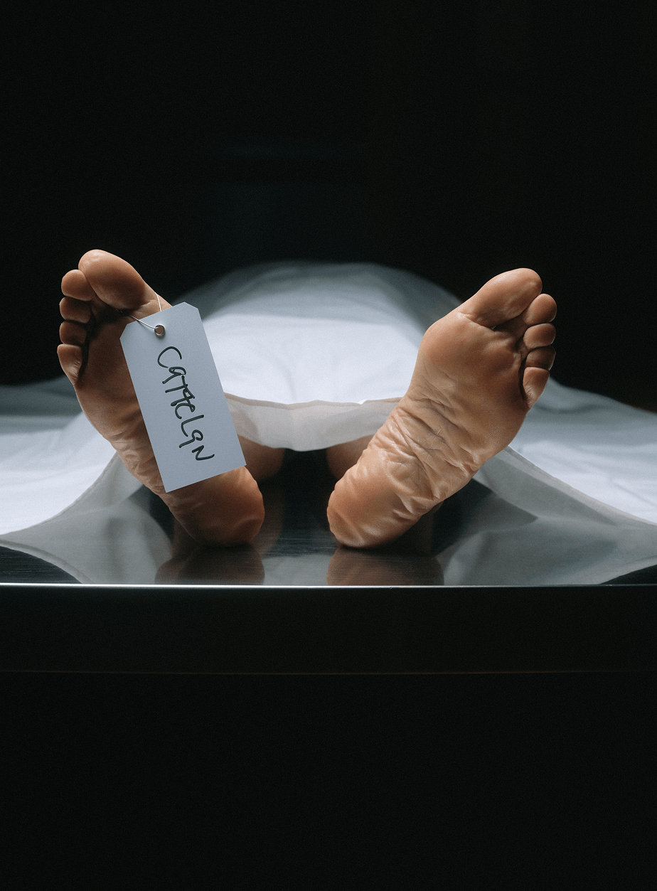 maurizio cattelan
maurizio cattelan artist